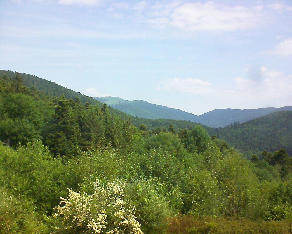 Le petit ballon vu depuis le Domaine Langmatt à Murbach le 04.06.2018 à 11:00 Le petit ballon (Alsace, Vosges) le 04.06.2018 à 11:00