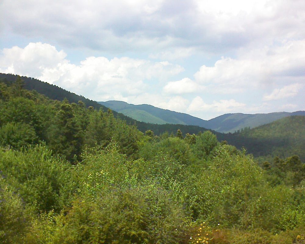 Le petit ballon vu depuis le Domaine Langmatt à Murbach le 13.07.2018 à 14:30 Le petit ballon (Alsace, Vosges) le 13.07.2018 à 14:30