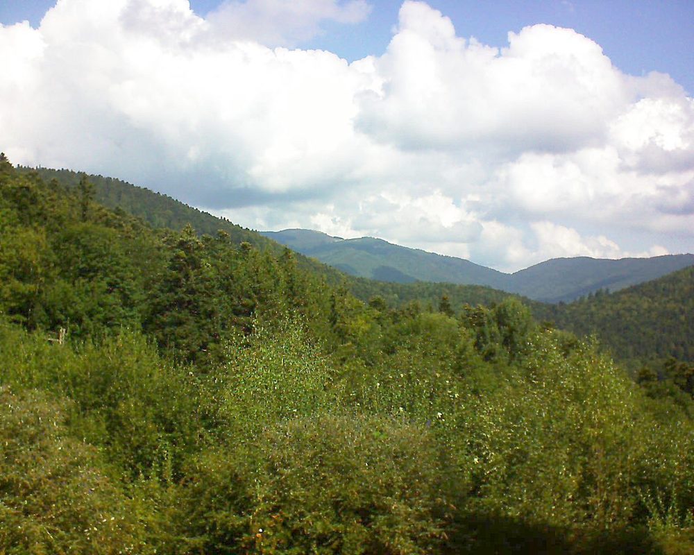 Le petit ballon vu depuis le Domaine Langmatt à Murbach le 04.09.2018 à 11:45 Le petit ballon (Alsace, Vosges) le 04.09.2018 à 11:45