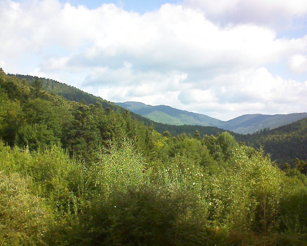 Le petit ballon vu depuis le Domaine Langmatt à Murbach le 07.09.2018 à 10:30 Le petit ballon (Alsace, Vosges) le 07.09.2018 à 10:30