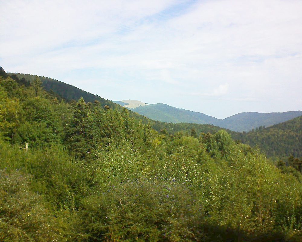 Le petit ballon vu depuis le Domaine Langmatt à Murbach le 18.09.2018 à 11:45 Le petit ballon (Alsace, Vosges) le 18.09.2018 à 11:45