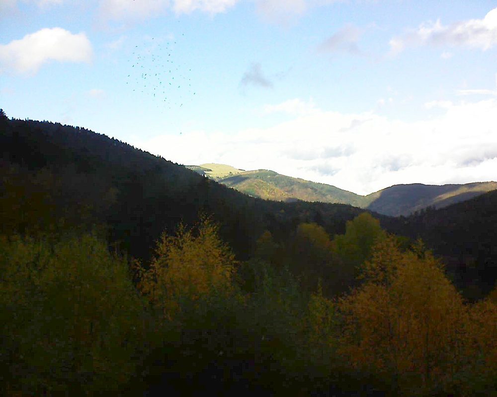 Le petit ballon vu depuis le Domaine Langmatt à Murbach le 11.11.2018 à 14:00 Le petit ballon (Alsace, Vosges) le 11.11.2018 à 14:00