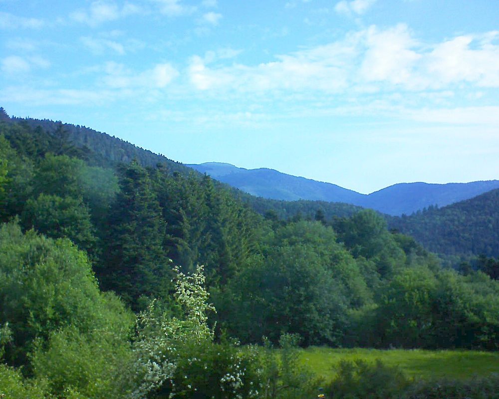 Le petit ballon vu depuis le Domaine Langmatt à Murbach le 28.05.2020 à 08:45 Le petit ballon (Alsace, Vosges) le 28.05.2020 à 08:45