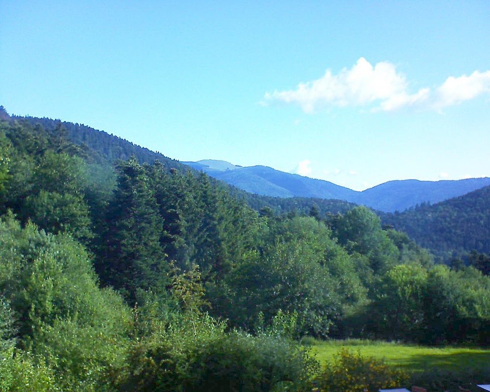 Le petit ballon vu depuis le Domaine Langmatt à Murbach le 03.07.2020 à 08:45 Le petit ballon (Alsace, Vosges) le 03.07.2020 à 08:45