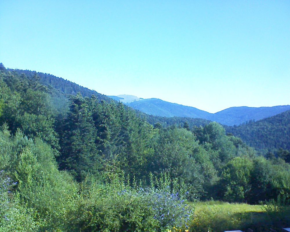 Le petit ballon vu depuis le Domaine Langmatt à Murbach le 05.08.2020 à 09:45 Le petit ballon (Alsace, Vosges) le 05.08.2020 à 09:45
