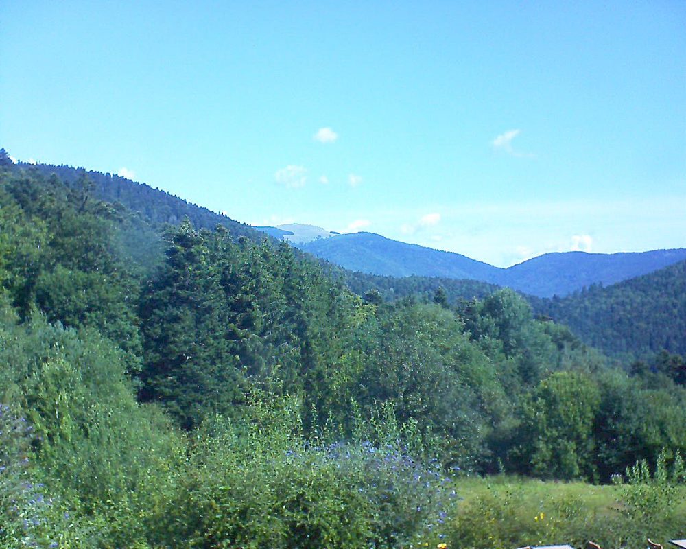 Le petit ballon vu depuis le Domaine Langmatt à Murbach le 16.08.2020 à 11:00 Le petit ballon (Alsace, Vosges) le 16.08.2020 à 11:00