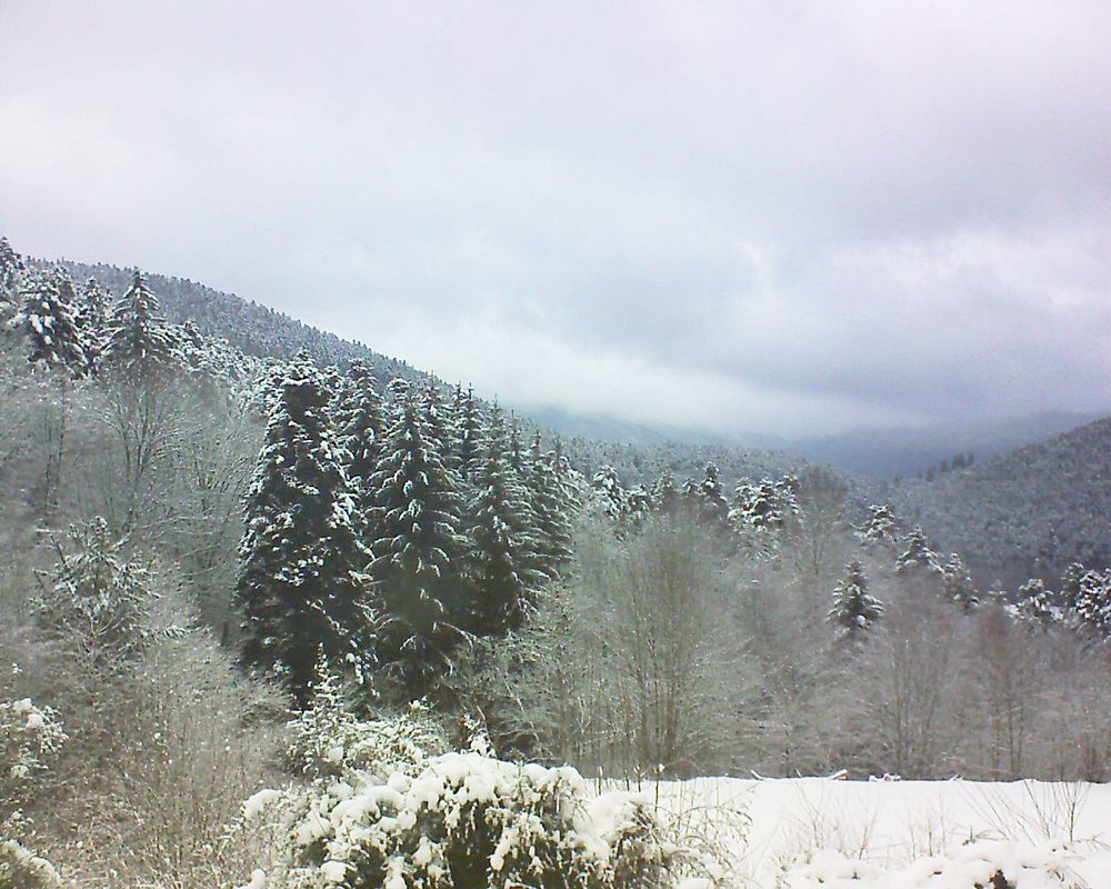 Le petit ballon vu depuis le Domaine Langmatt à Murbach le 02.01.2021 à 12:15 Le petit ballon (Alsace, Vosges) le 02.01.2021 à 12:15