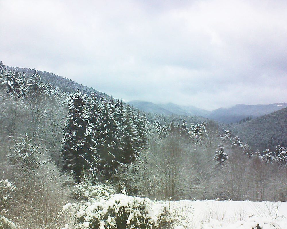 Le petit ballon vu depuis le Domaine Langmatt à Murbach le 02.01.2021 à 14:30 Le petit ballon (Alsace, Vosges) le 02.01.2021 à 14:30