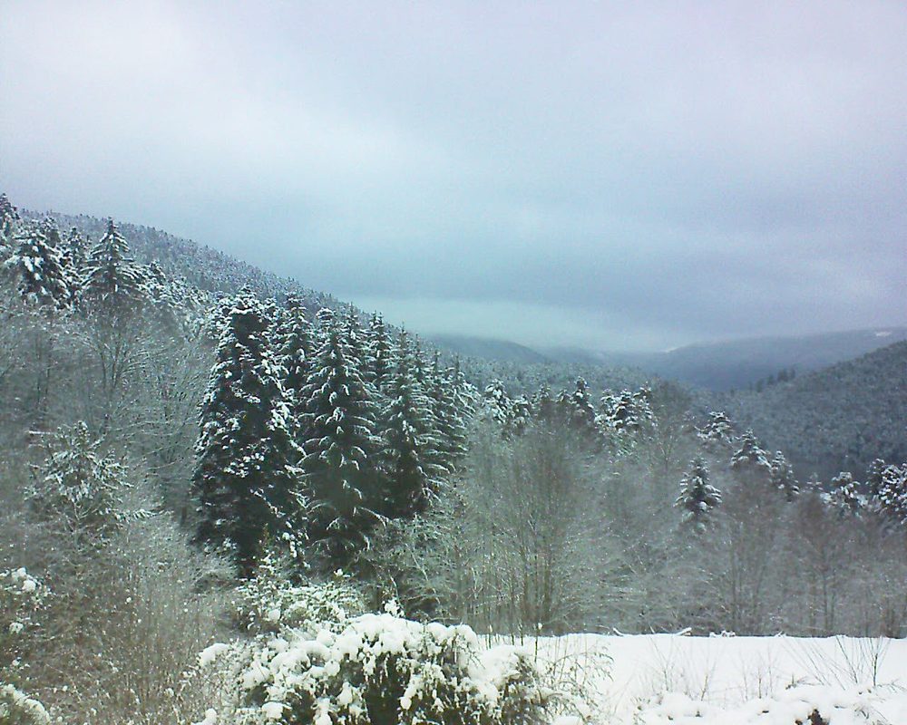 Le petit ballon vu depuis le Domaine Langmatt à Murbach le 02.01.2021 à 15:30 Le petit ballon (Alsace, Vosges) le 02.01.2021 à 15:30