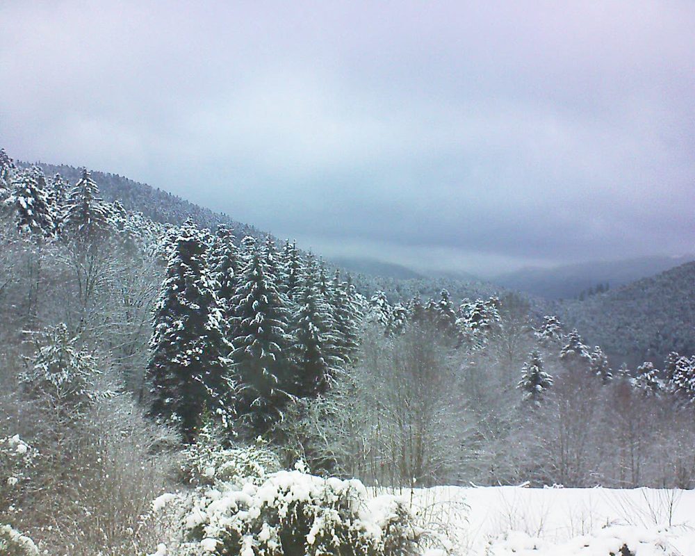 Le petit ballon vu depuis le Domaine Langmatt à Murbach le 02.01.2021 à 15:45 Le petit ballon (Alsace, Vosges) le 02.01.2021 à 15:45