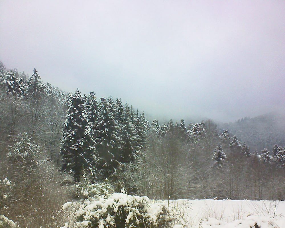 Le petit ballon vu depuis le Domaine Langmatt à Murbach le 03.01.2021 à 11:30 Le petit ballon (Alsace, Vosges) le 03.01.2021 à 11:30