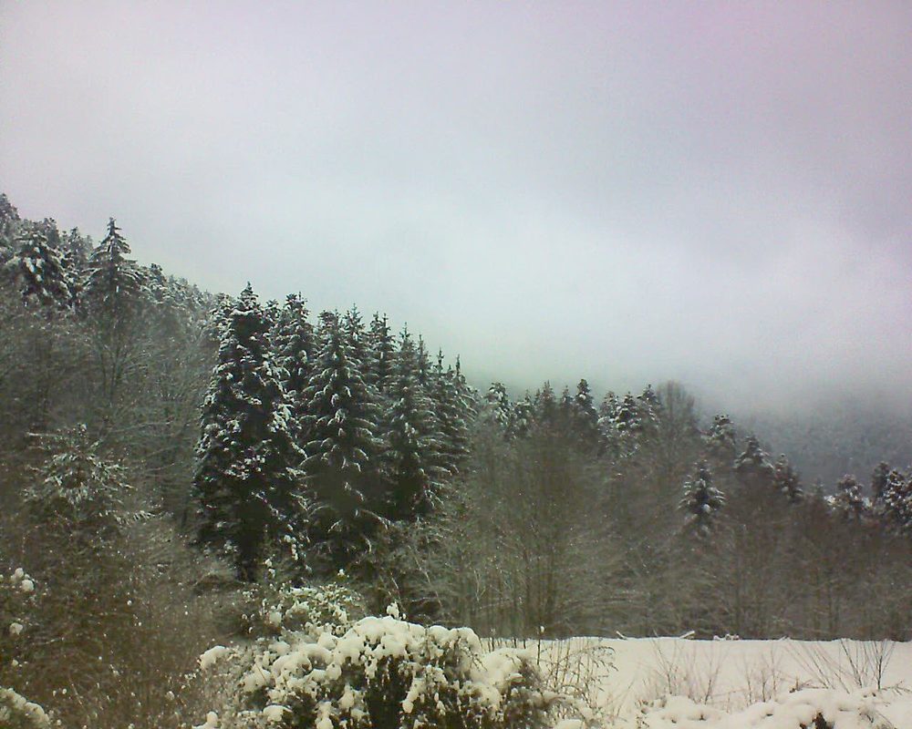 Le petit ballon vu depuis le Domaine Langmatt à Murbach le 03.01.2021 à 13:30 Le petit ballon (Alsace, Vosges) le 03.01.2021 à 13:30