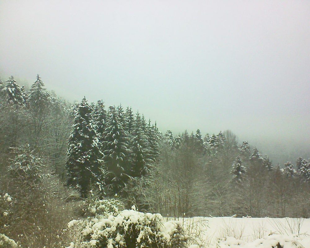 Le petit ballon vu depuis le Domaine Langmatt à Murbach le 03.01.2021 à 14:15 Le petit ballon (Alsace, Vosges) le 03.01.2021 à 14:15