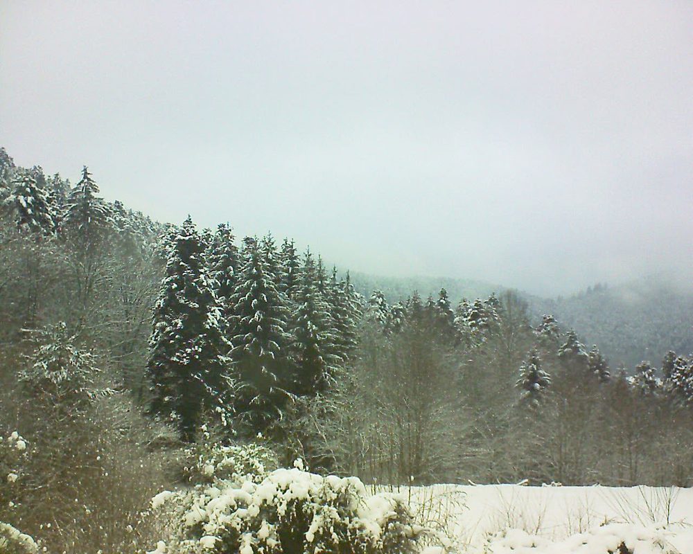 Le petit ballon vu depuis le Domaine Langmatt à Murbach le 03.01.2021 à 14:45 Le petit ballon (Alsace, Vosges) le 03.01.2021 à 14:45