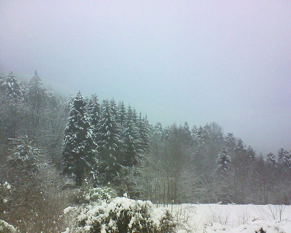 Le petit ballon vu depuis le Domaine Langmatt à Murbach le 03.01.2021 à 15:30 Le petit ballon (Alsace, Vosges) le 03.01.2021 à 15:30