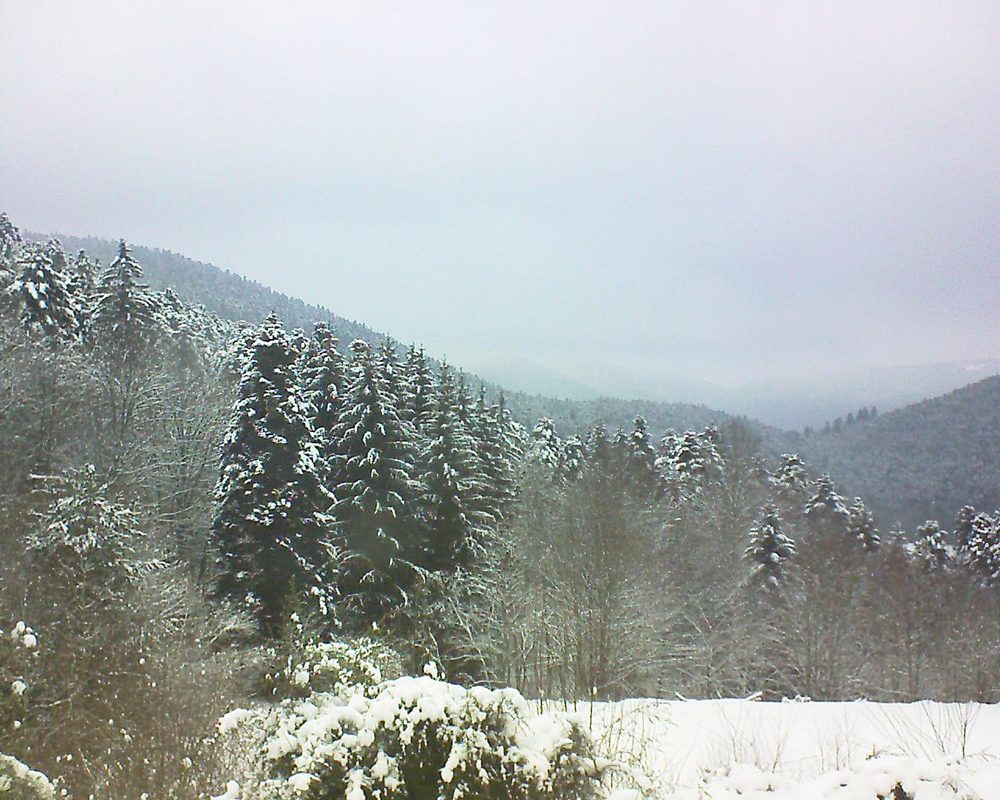 Le petit ballon vu depuis le Domaine Langmatt à Murbach le 05.01.2021 à 12:15 Le petit ballon (Alsace, Vosges) le 05.01.2021 à 12:15