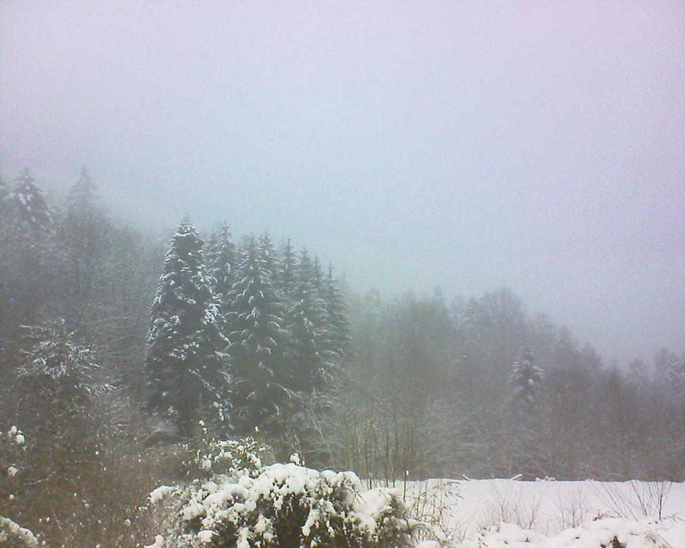 Le petit ballon vu depuis le Domaine Langmatt à Murbach le 06.01.2021 à 11:30 Le petit ballon (Alsace, Vosges) le 06.01.2021 à 11:30