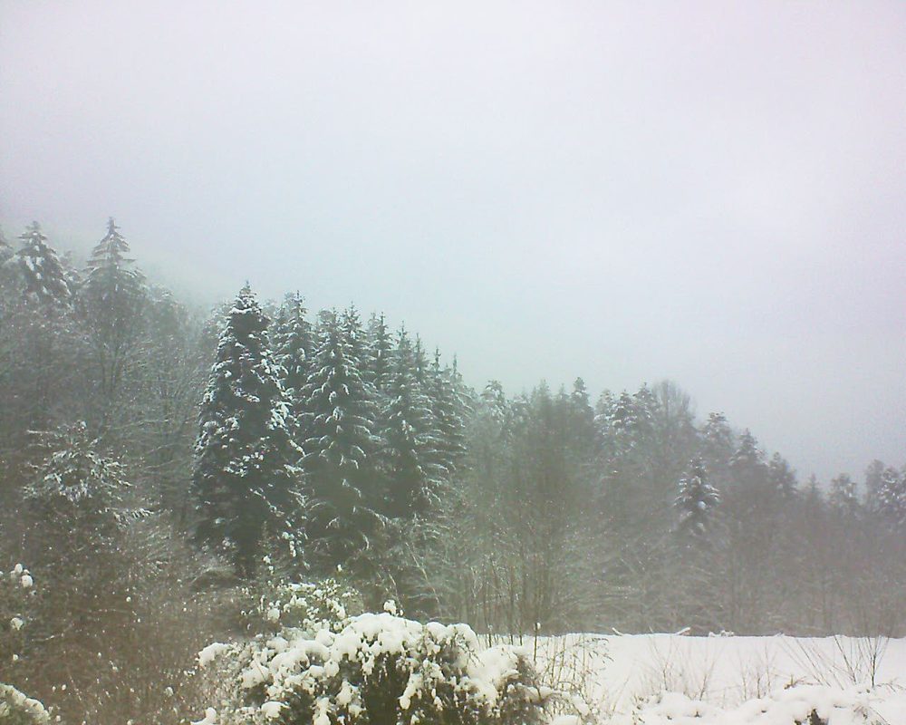 Le petit ballon vu depuis le Domaine Langmatt à Murbach le 06.01.2021 à 14:30 Le petit ballon (Alsace, Vosges) le 06.01.2021 à 14:30