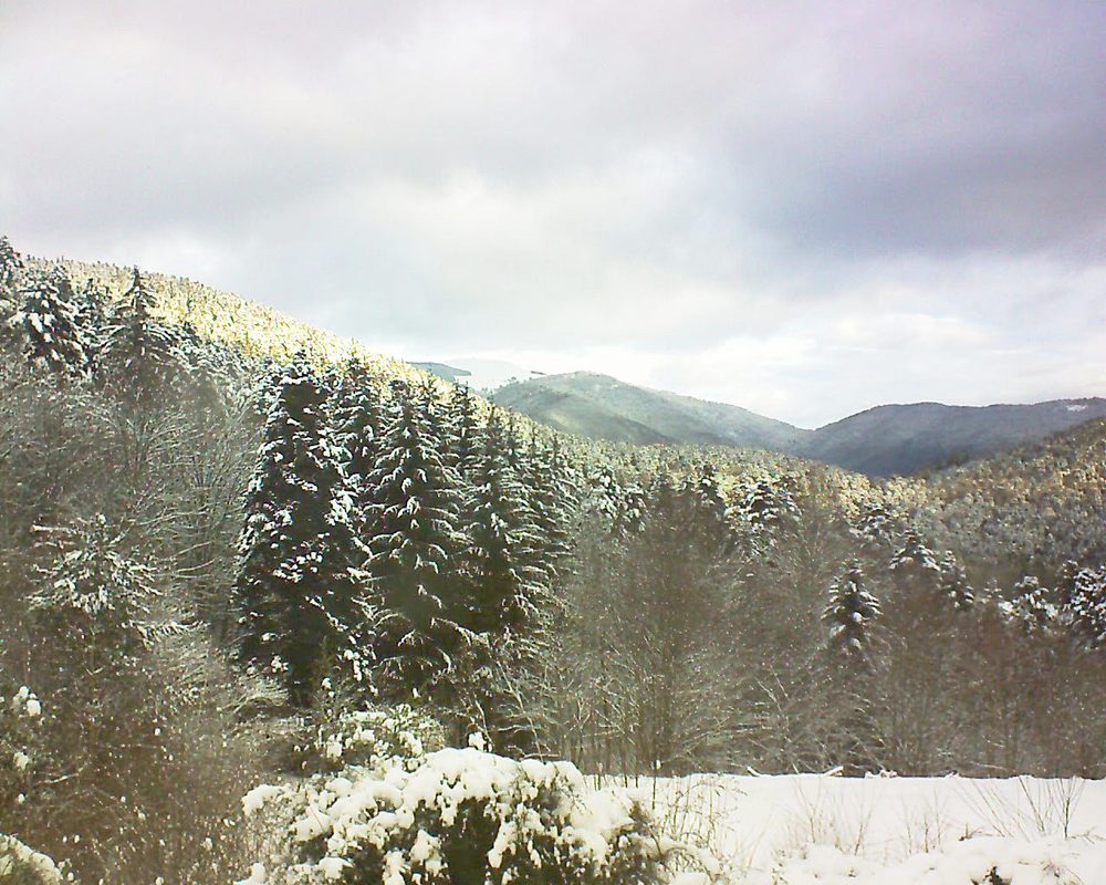 Le petit ballon vu depuis le Domaine Langmatt à Murbach le 08.01.2021 à 09:30 Le petit ballon (Alsace, Vosges) le 08.01.2021 à 09:30