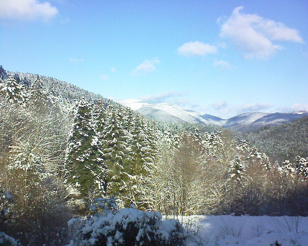 Le petit ballon vu depuis le Domaine Langmatt à Murbach le 08.01.2021 à 12:15 Le petit ballon (Alsace, Vosges) le 08.01.2021 à 12:15