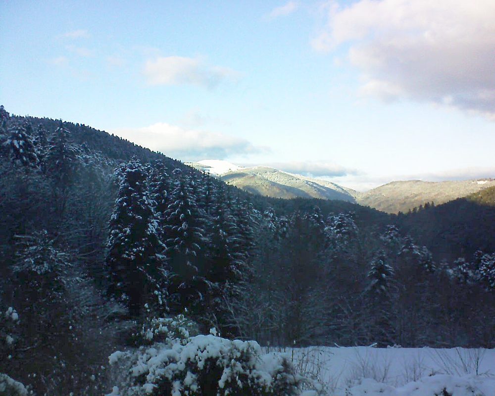 Le petit ballon vu depuis le Domaine Langmatt à Murbach le 08.01.2021 à 15:30 Le petit ballon (Alsace, Vosges) le 08.01.2021 à 15:30
