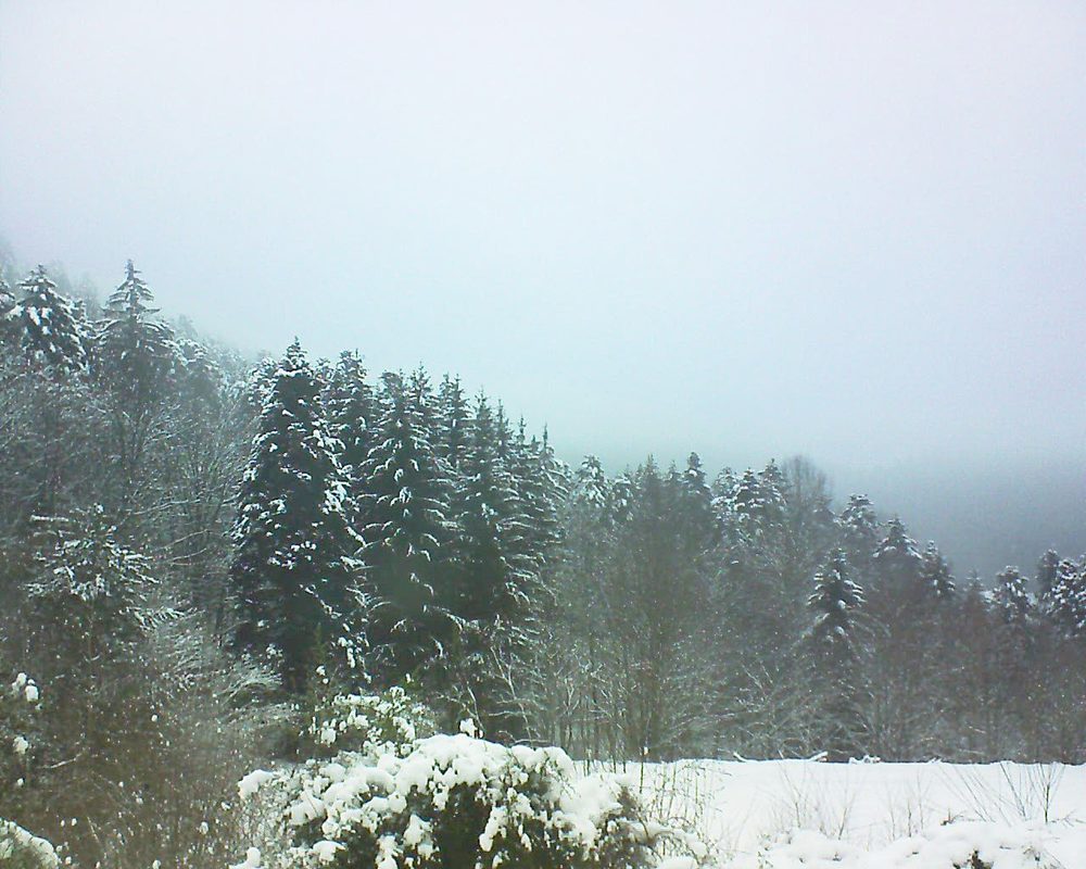 Le petit ballon vu depuis le Domaine Langmatt à Murbach le 09.01.2021 à 09:15 Le petit ballon (Alsace, Vosges) le 09.01.2021 à 09:15