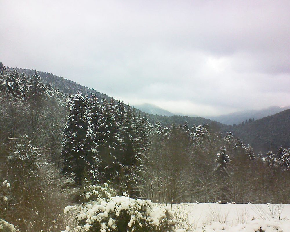 Le petit ballon vu depuis le Domaine Langmatt à Murbach le 09.01.2021 à 11:15 Le petit ballon (Alsace, Vosges) le 09.01.2021 à 11:15
