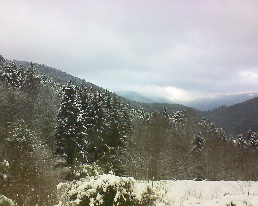 Le petit ballon vu depuis le Domaine Langmatt à Murbach le 09.01.2021 à 12:00 Le petit ballon (Alsace, Vosges) le 09.01.2021 à 12:00
