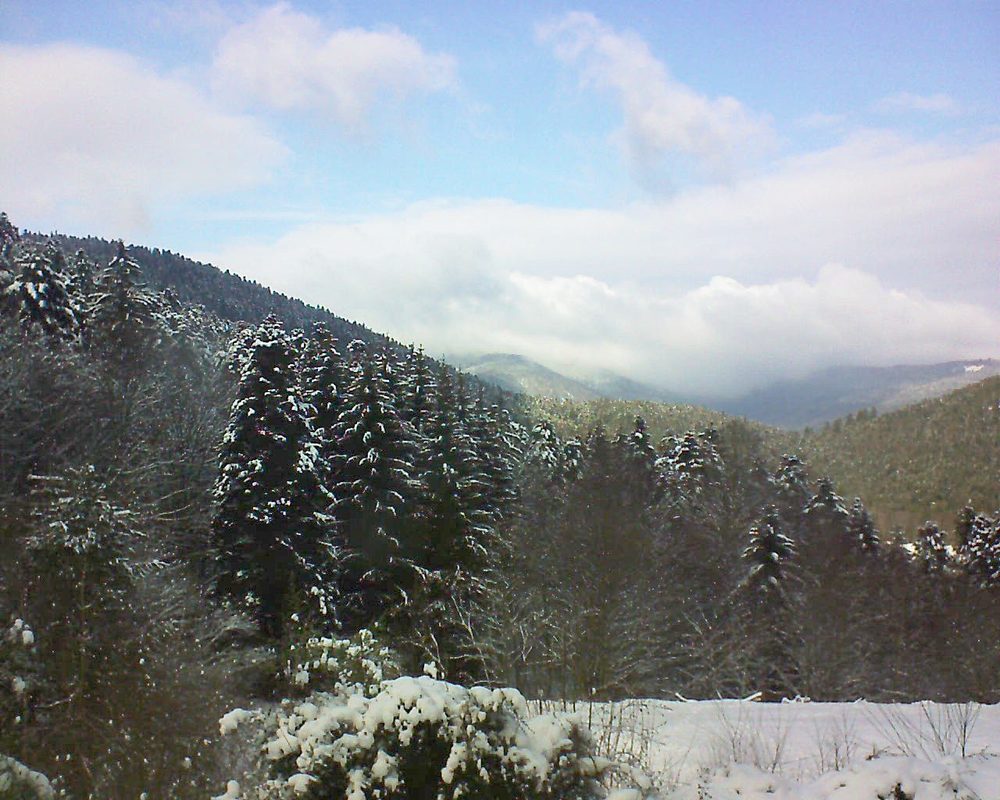Le petit ballon vu depuis le Domaine Langmatt à Murbach le 09.01.2021 à 13:15 Le petit ballon (Alsace, Vosges) le 09.01.2021 à 13:15