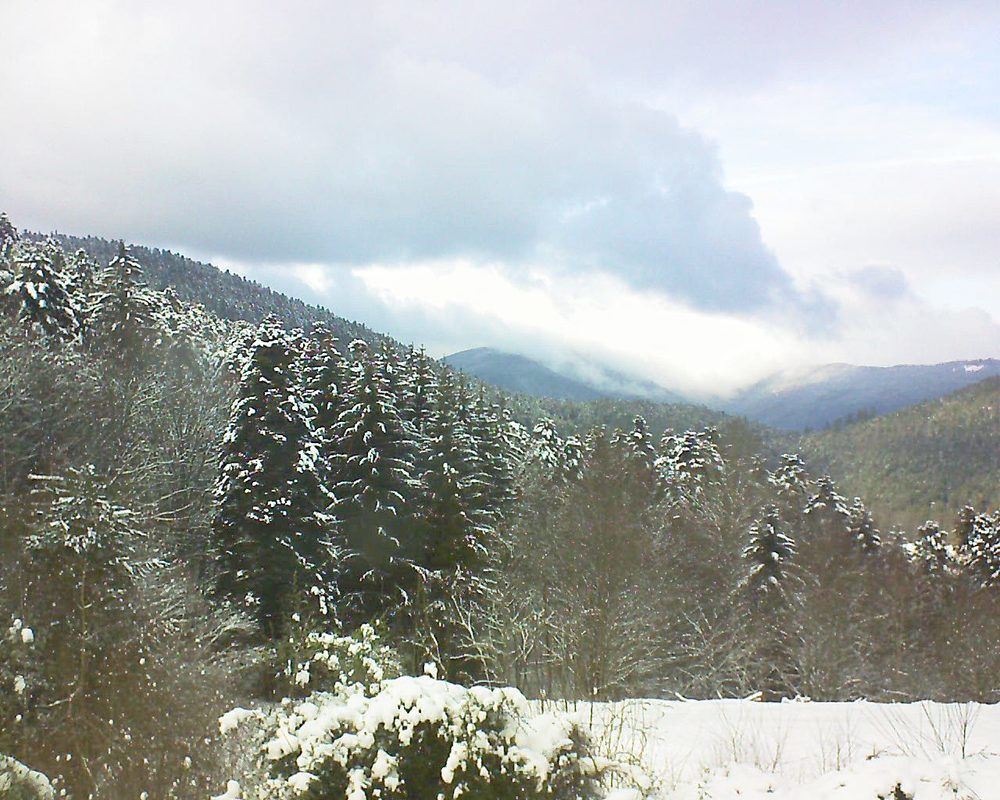 Le petit ballon vu depuis le Domaine Langmatt à Murbach le 09.01.2021 à 14:30 Le petit ballon (Alsace, Vosges) le 09.01.2021 à 14:30