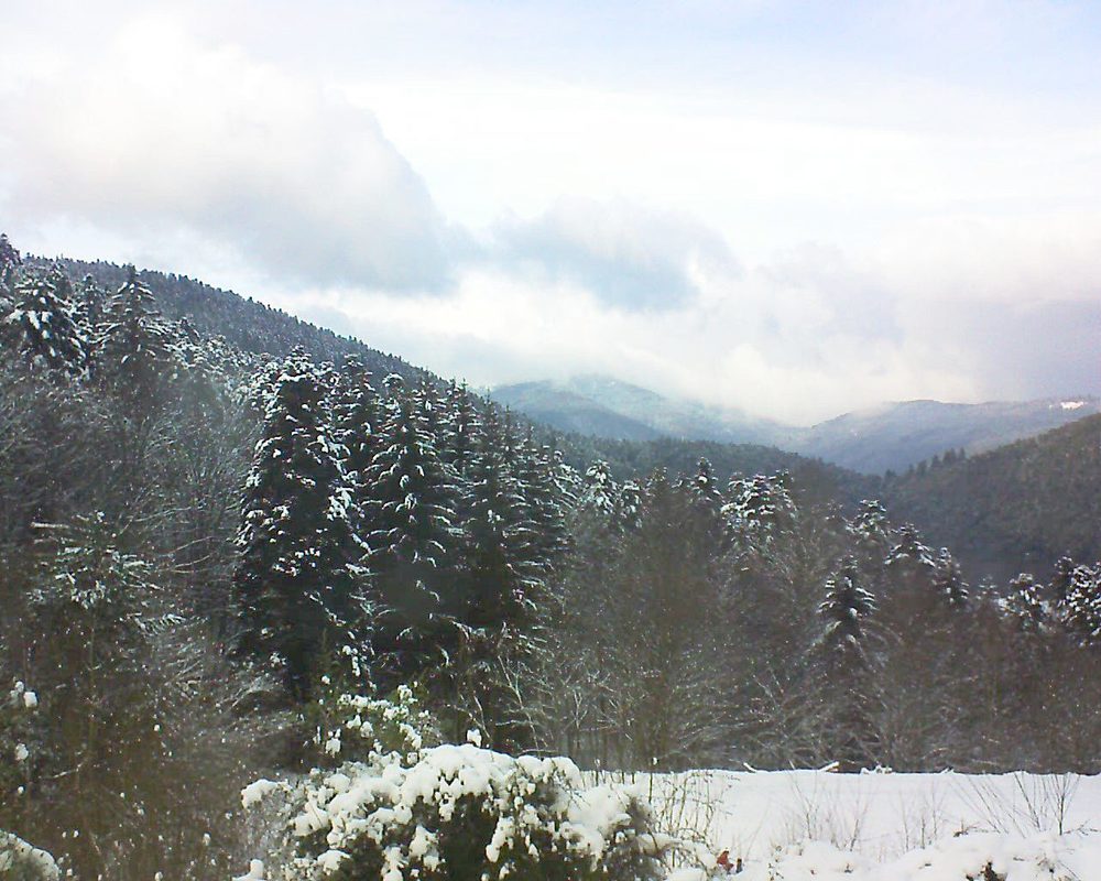 Le petit ballon vu depuis le Domaine Langmatt à Murbach le 09.01.2021 à 15:15 Le petit ballon (Alsace, Vosges) le 09.01.2021 à 15:15