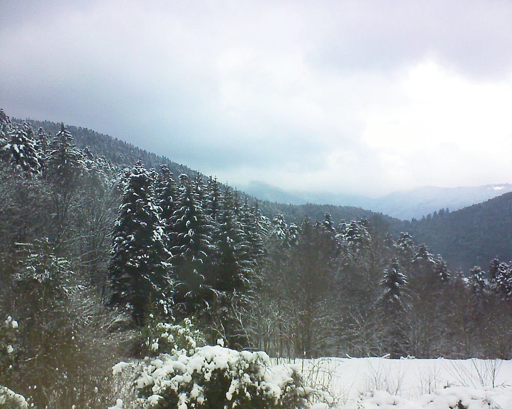 Le petit ballon vu depuis le Domaine Langmatt à Murbach le 09.01.2021 à 15:45 Le petit ballon (Alsace, Vosges) le 09.01.2021 à 15:45