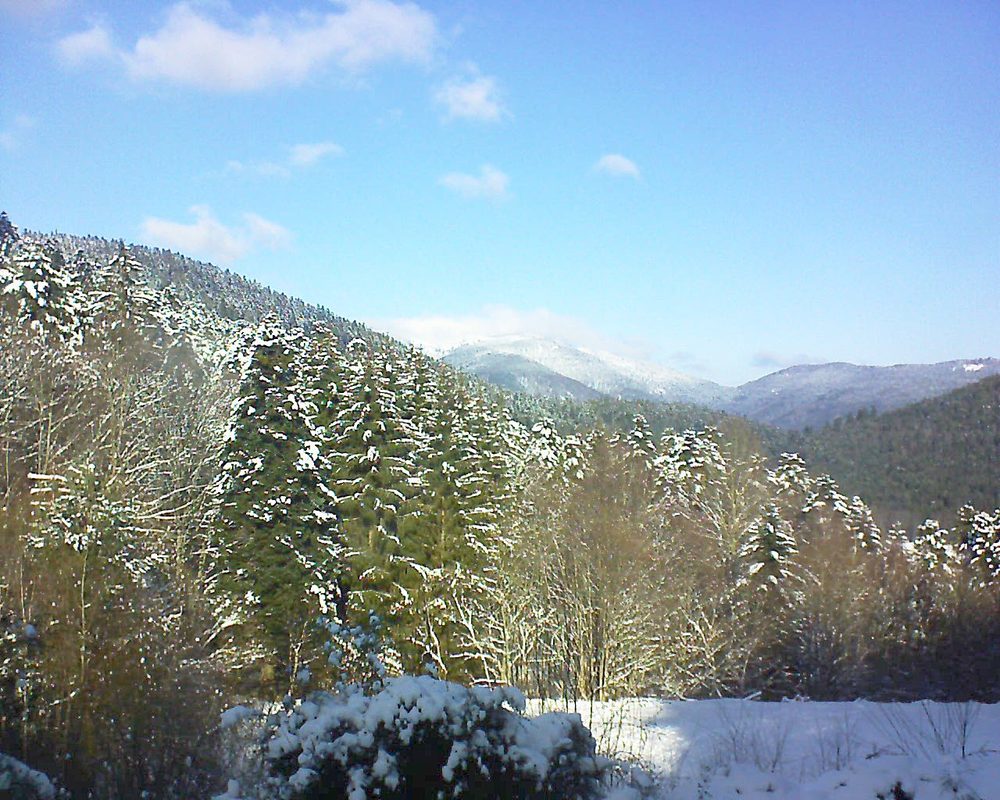 Le petit ballon vu depuis le Domaine Langmatt à Murbach le 10.01.2021 à 12:15 Le petit ballon (Alsace, Vosges) le 10.01.2021 à 12:15