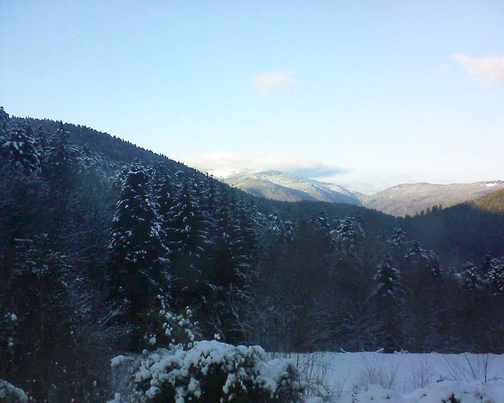 Le petit ballon vu depuis le Domaine Langmatt à Murbach le 10.01.2021 à 15:30 Le petit ballon (Alsace, Vosges) le 10.01.2021 à 15:30