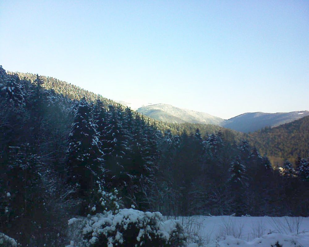 Le petit ballon vu depuis le Domaine Langmatt à Murbach le 11.01.2021 à 09:30 Le petit ballon (Alsace, Vosges) le 11.01.2021 à 09:30