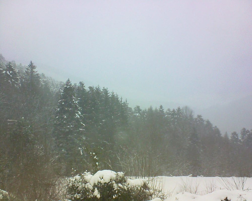 Le petit ballon vu depuis le Domaine Langmatt à Murbach le 12.01.2021 à 15:30 Le petit ballon (Alsace, Vosges) le 12.01.2021 à 15:30