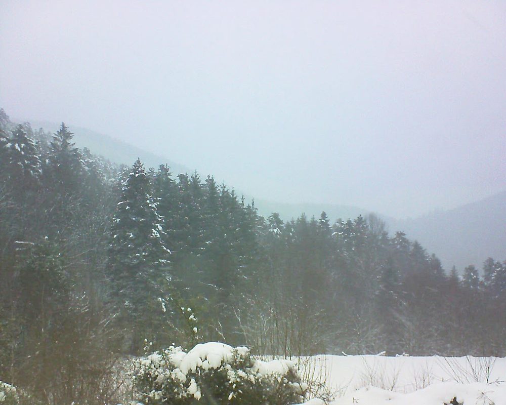 Le petit ballon vu depuis le Domaine Langmatt à Murbach le 12.01.2021 à 15:45 Le petit ballon (Alsace, Vosges) le 12.01.2021 à 15:45