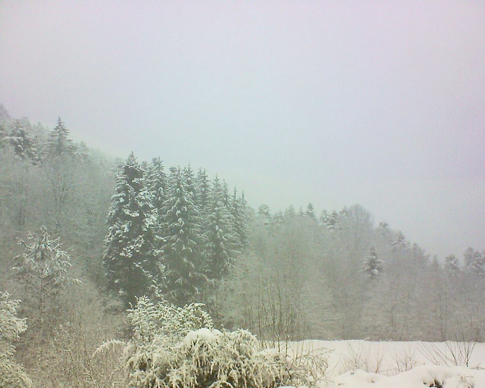 Le petit ballon vu depuis le Domaine Langmatt à Murbach le 14.01.2021 à 11:30 Le petit ballon (Alsace, Vosges) le 14.01.2021 à 11:30