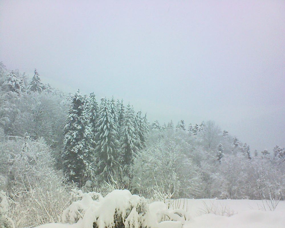 Le petit ballon vu depuis le Domaine Langmatt à Murbach le 15.01.2021 à 09:30 Le petit ballon (Alsace, Vosges) le 15.01.2021 à 09:30