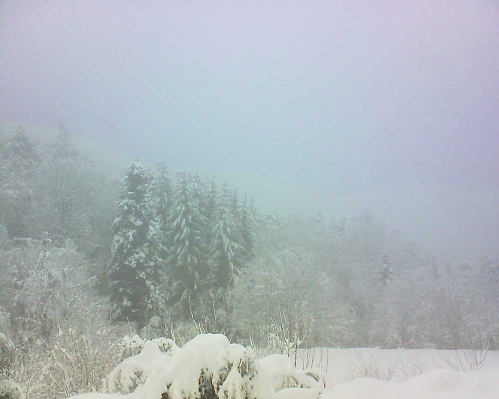 Le petit ballon vu depuis le Domaine Langmatt à Murbach le 16.01.2021 à 15:30 Le petit ballon (Alsace, Vosges) le 16.01.2021 à 15:30