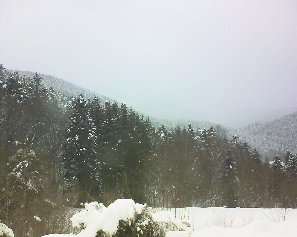 Le petit ballon vu depuis le Domaine Langmatt à Murbach le 17.01.2021 à 11:30 Le petit ballon (Alsace, Vosges) le 17.01.2021 à 11:30