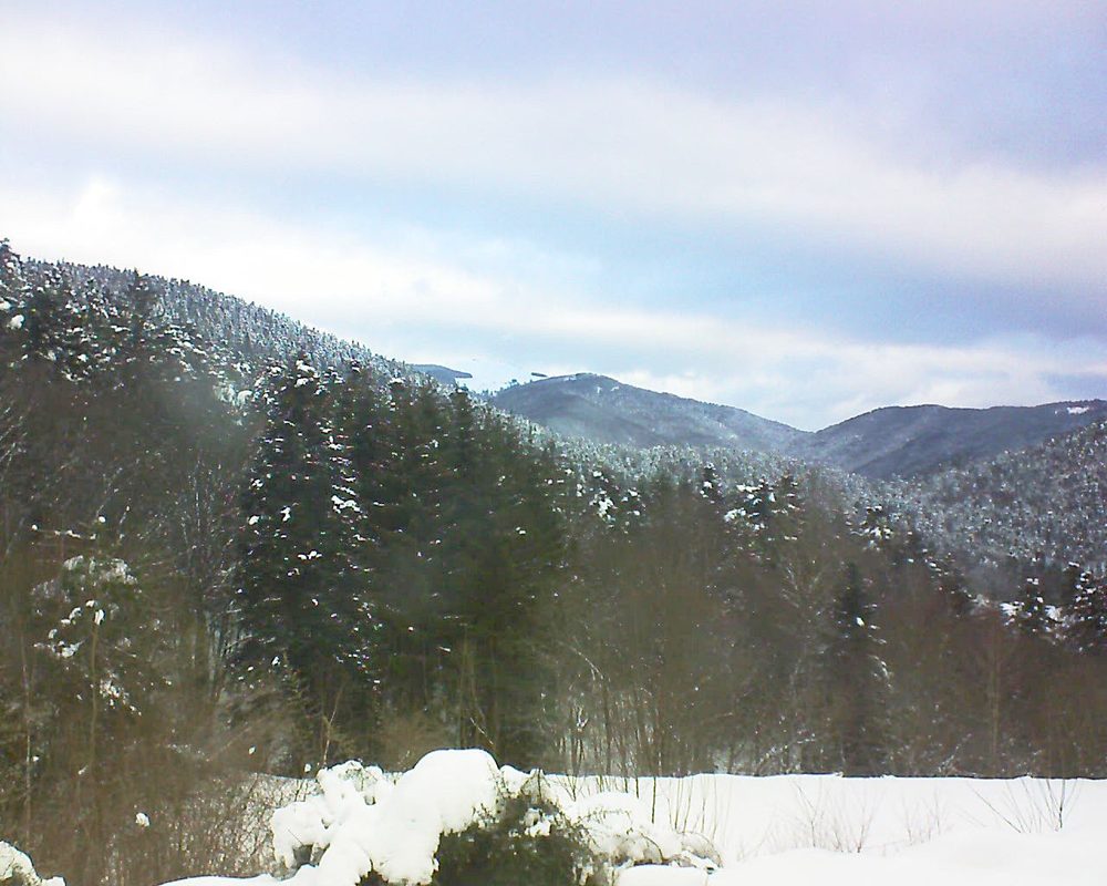 Le petit ballon vu depuis le Domaine Langmatt à Murbach le 18.01.2021 à 09:30 Le petit ballon (Alsace, Vosges) le 18.01.2021 à 09:30