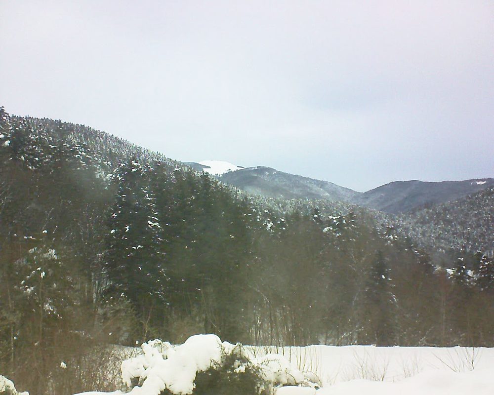 Le petit ballon vu depuis le Domaine Langmatt à Murbach le 19.01.2021 à 09:30 Le petit ballon (Alsace, Vosges) le 19.01.2021 à 09:30