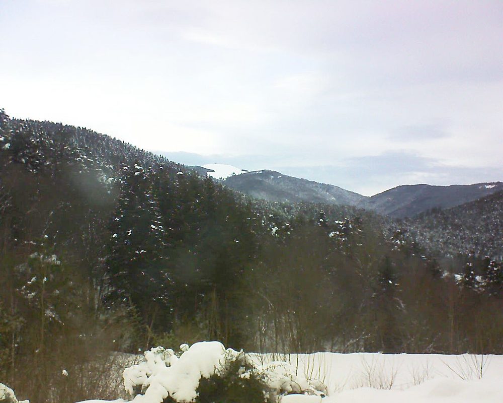 Le petit ballon vu depuis le Domaine Langmatt à Murbach le 19.01.2021 à 11:30 Le petit ballon (Alsace, Vosges) le 19.01.2021 à 11:30