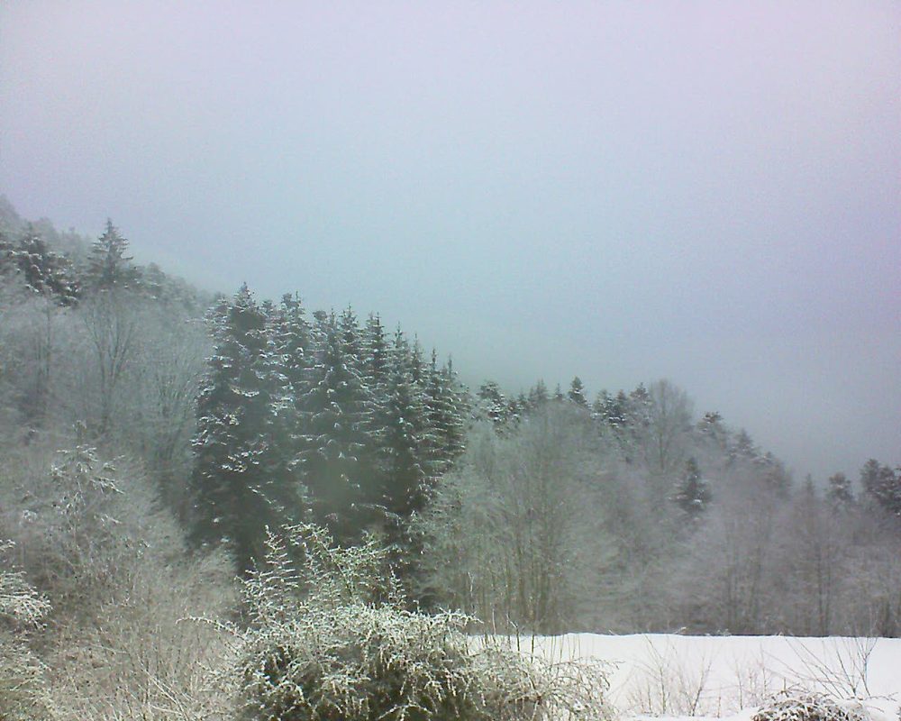 Le petit ballon vu depuis le Domaine Langmatt à Murbach le 23.01.2021 à 09:30 Le petit ballon (Alsace, Vosges) le 23.01.2021 à 09:30