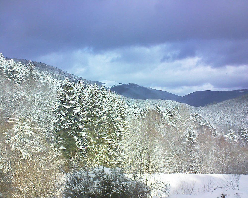 Le petit ballon vu depuis le Domaine Langmatt à Murbach le 25.01.2021 à 12:15 Le petit ballon (Alsace, Vosges) le 25.01.2021 à 12:15