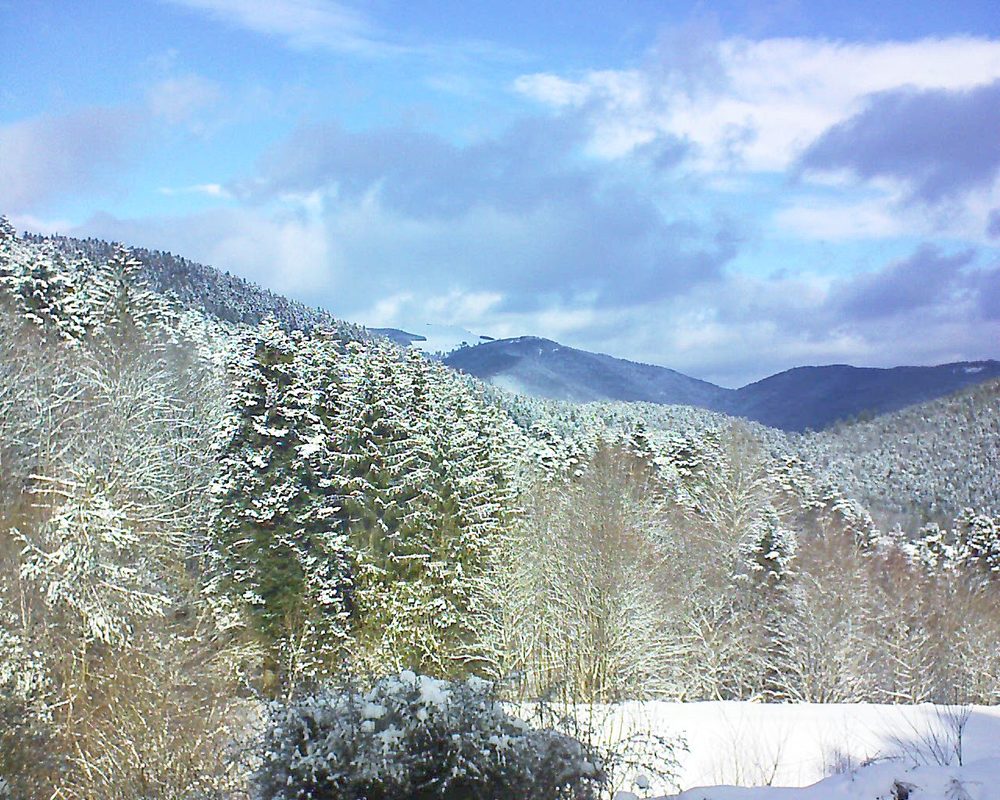 Le petit ballon vu depuis le Domaine Langmatt à Murbach le 25.01.2021 à 12:30 Le petit ballon (Alsace, Vosges) le 25.01.2021 à 12:30