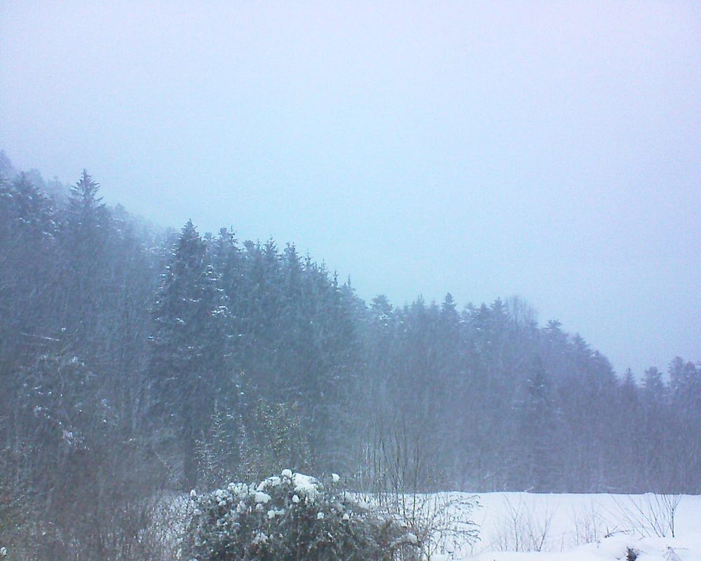 Le petit ballon (Alsace, Vosges) le 27.01.2021 à 08:30