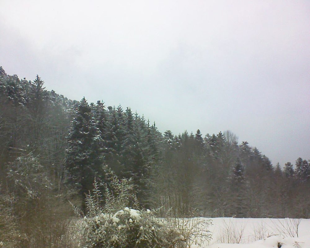 Le petit ballon vu depuis le Domaine Langmatt à Murbach le 27.01.2021 à 11:30 Le petit ballon (Alsace, Vosges) le 27.01.2021 à 11:30