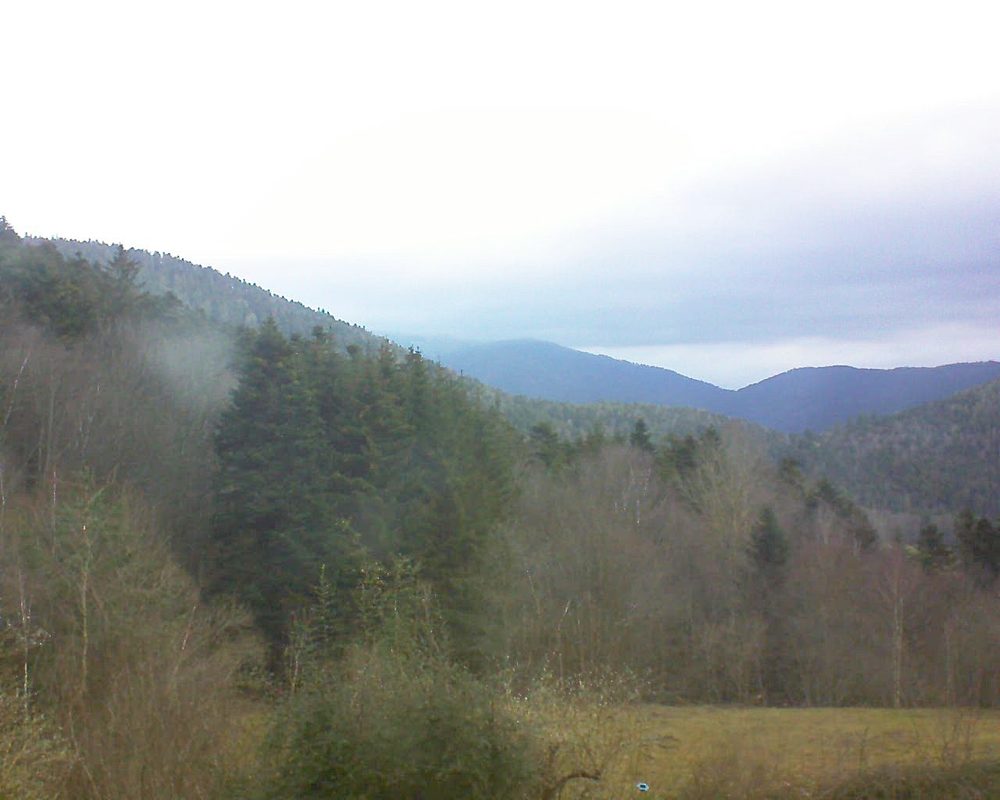 Le petit ballon vu depuis le Domaine Langmatt à Murbach le 05.02.2021 à 09:30 Le petit ballon (Alsace, Vosges) le 05.02.2021 à 09:30